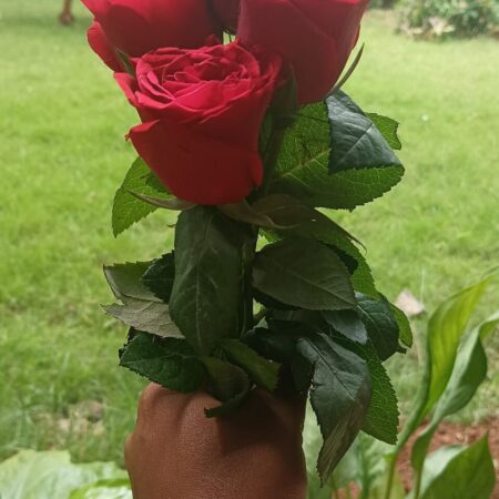 Arreglo de San Valentín